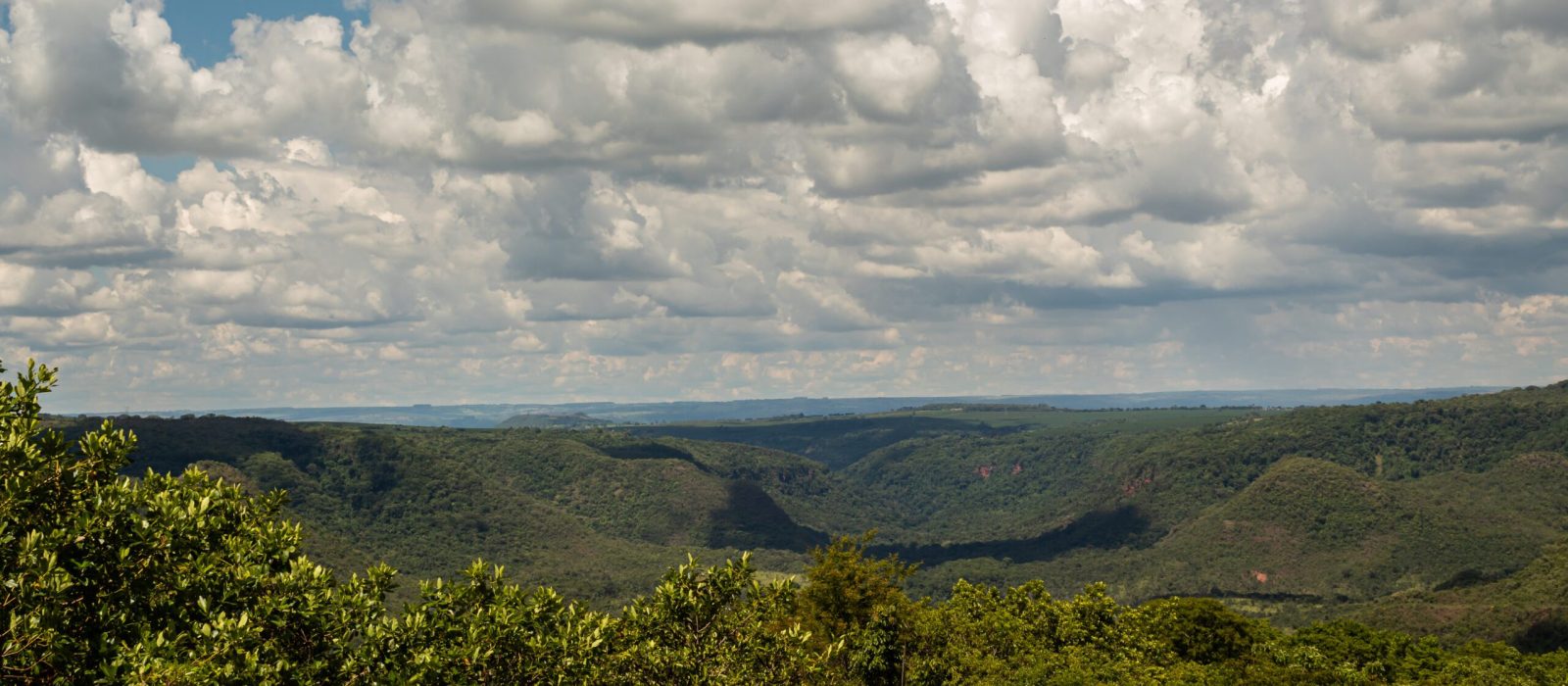 Mirante de Aves-18