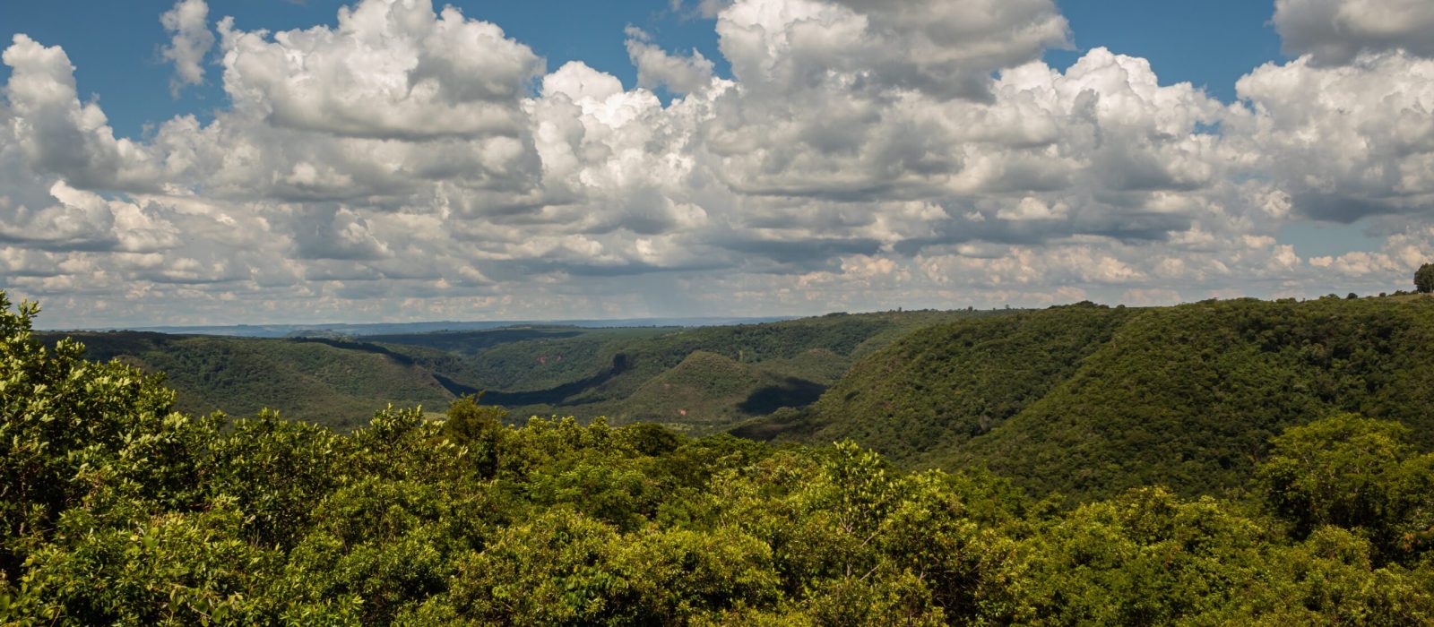 Mirante de Aves-28